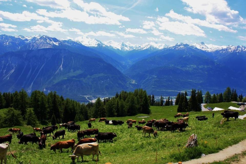 Le Mayen De Colombire Crans-Montana